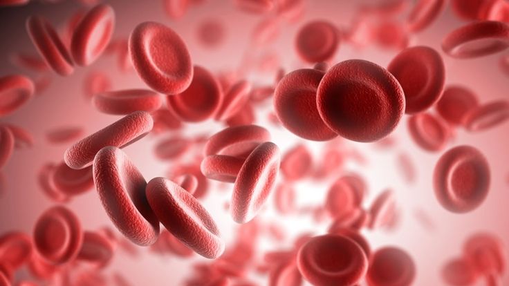 Cholesterol Levels